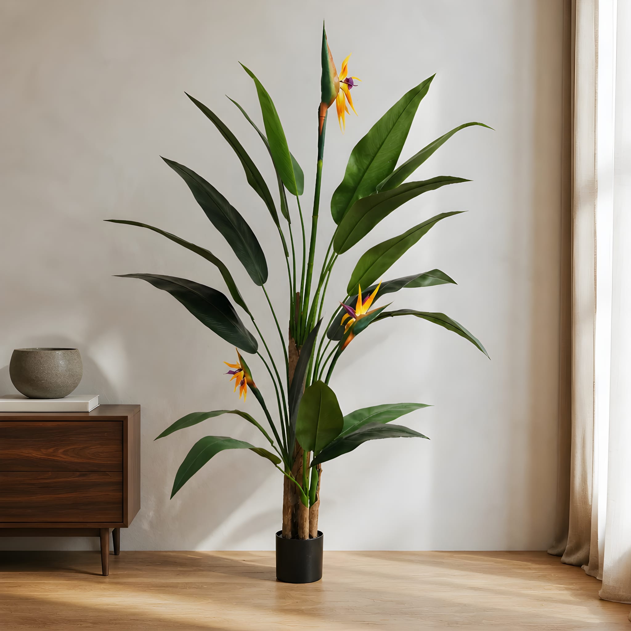 bird-of-paradise-2